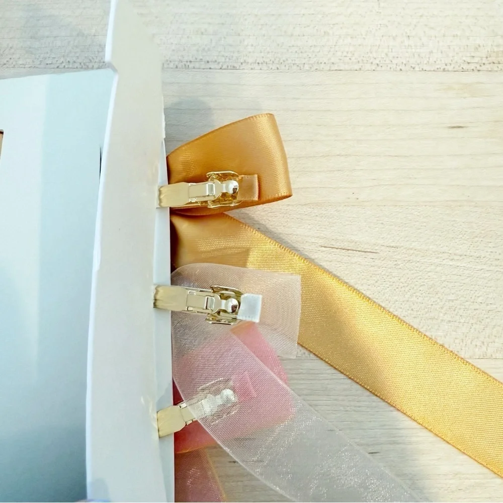 ANTHROPOLOGIE Ribbon Barrette Set Of 3 NWT Pink and Gold